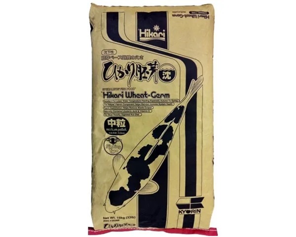 Hikari Wheat Germ Sinking Large 20 kg